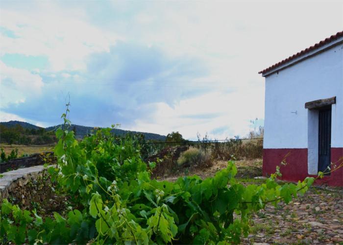 Casa Rural El Abuelo Alonso La Codosera Exteriör bild